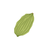 Cardamom pod icon
